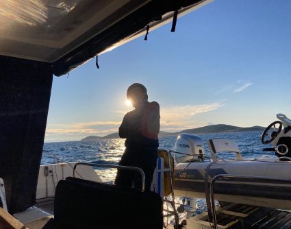 nervous system resilience concept