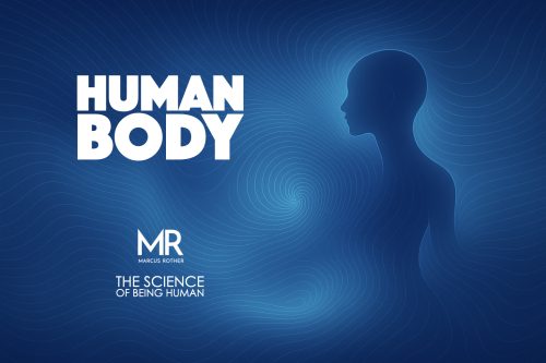 The Human Body