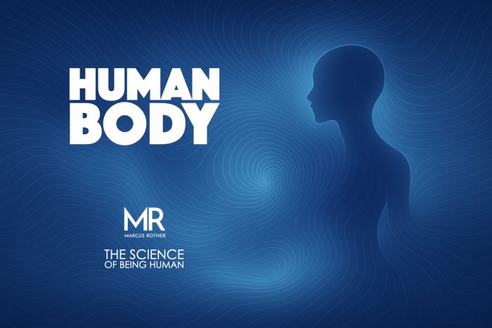the human body